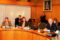 diputados impacto medio informativo art