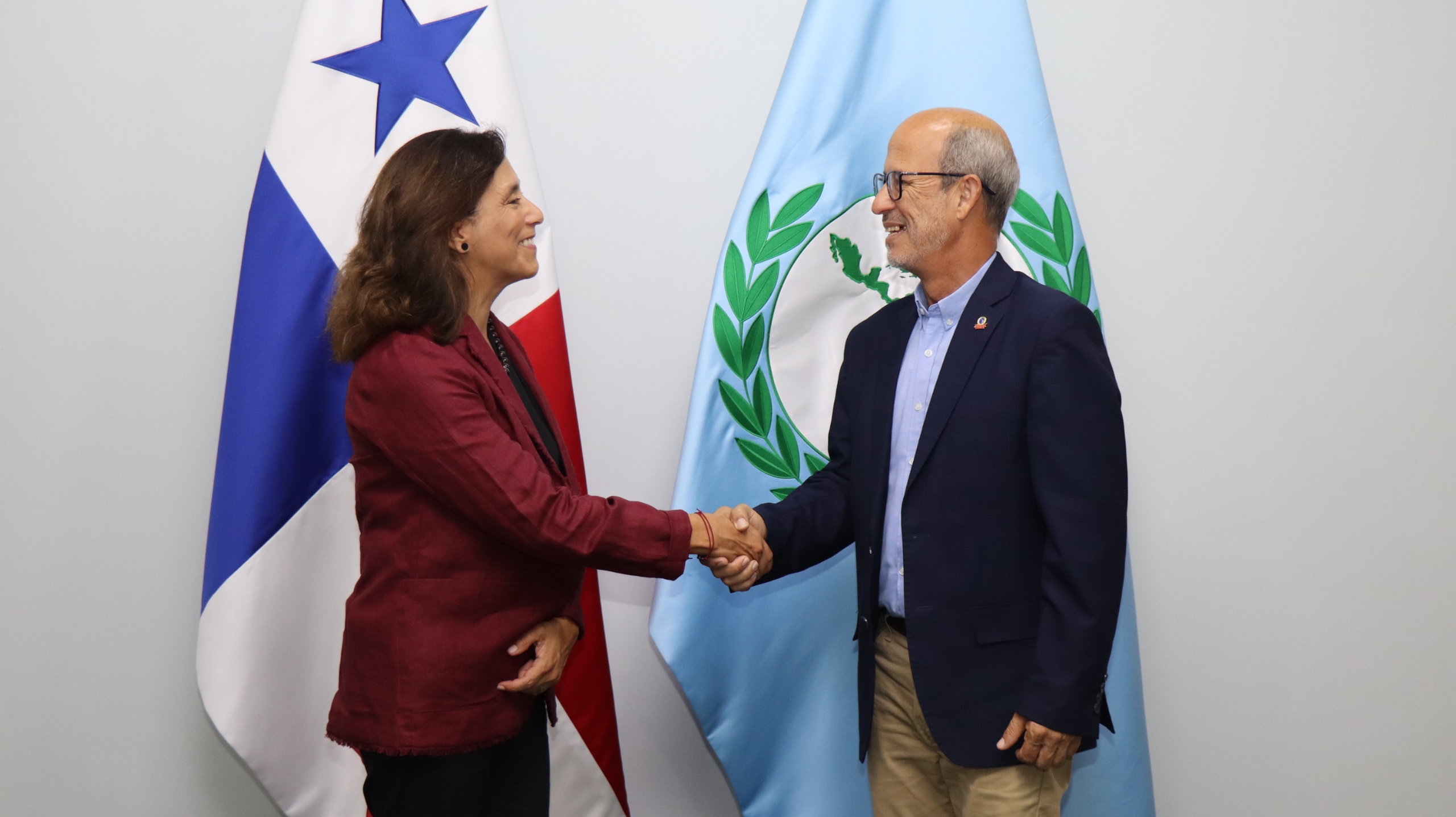 Uso de inteligencia artificial en la labor legislativa: cooperación institucional e innovación legislativa