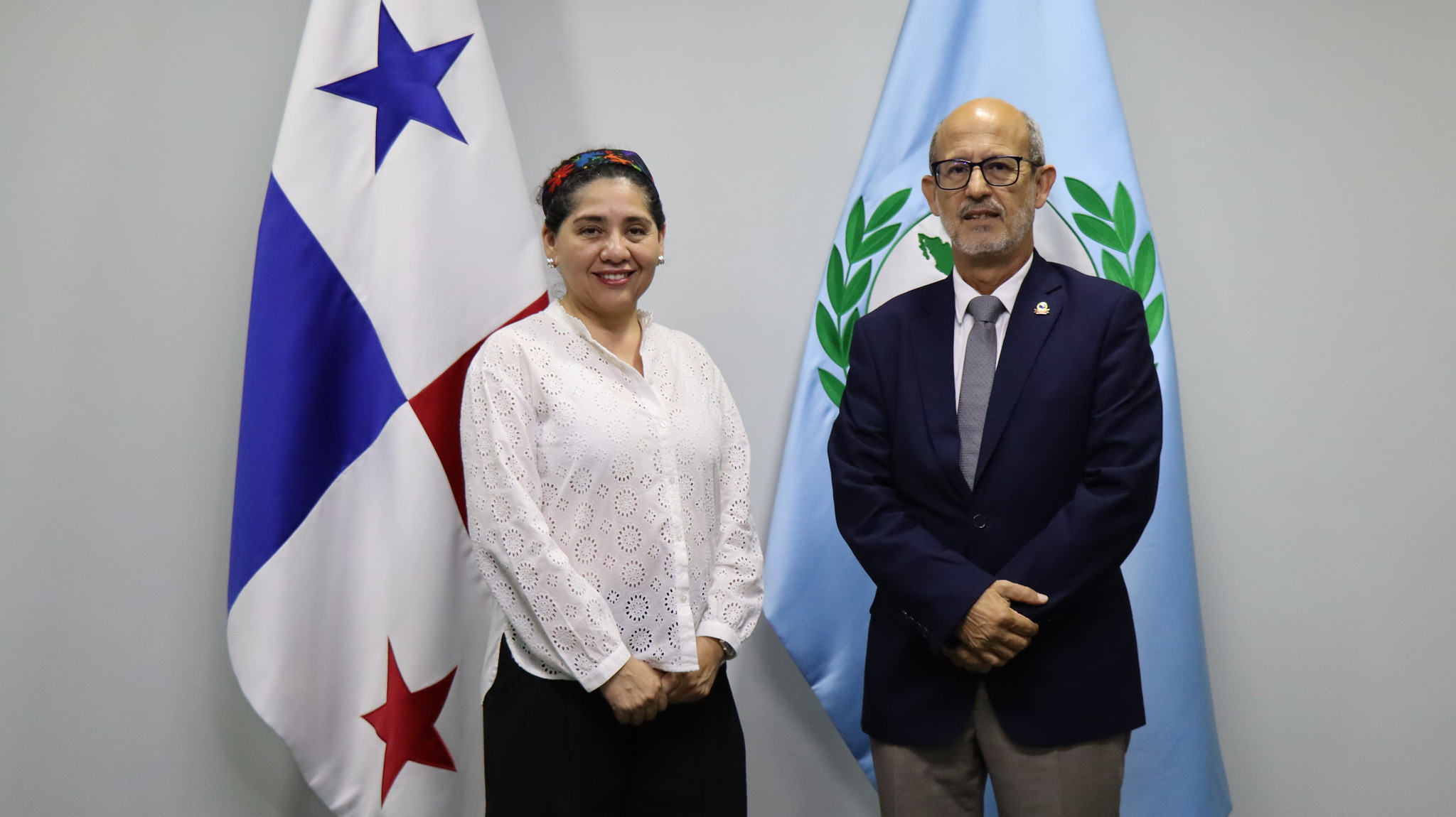 Diálogo entre el PARLATINO y la Cruz Roja Internacional refuerza la agenda humanitaria