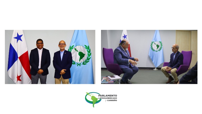 Diplomacia parlamentaria en acción