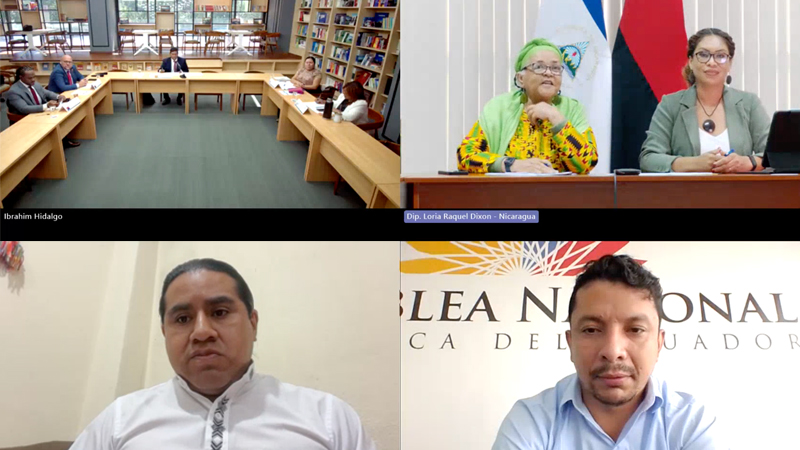 Comisión de Pueblos Indígenas, Afrodescendientes y Etnias del PARLATINO aborda desarrollo sostenible, políticas públicas y cambio climático