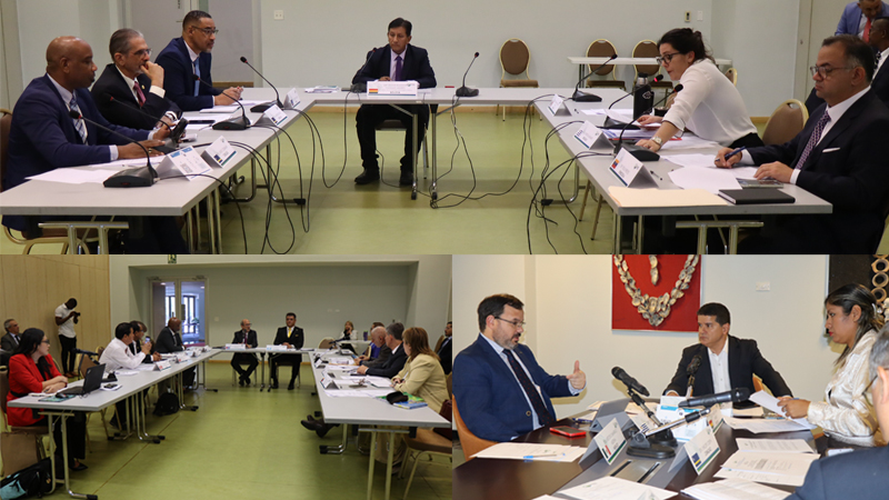 Comisiones del PARLATINO avanzan en agenda legislativa y fortalecen el diálogo sobre temas estratégicos de desarrollo sostenible