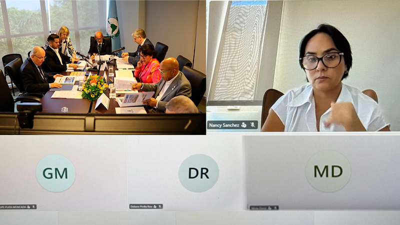 Mesa Directiva del PARLATINO aborda agenda institucional y suscribe acuerdo de cooperación con el CIDE